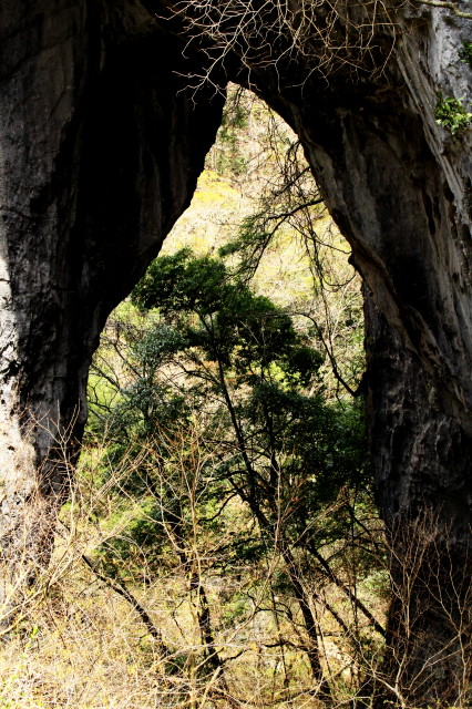 c0148777_20867.jpg