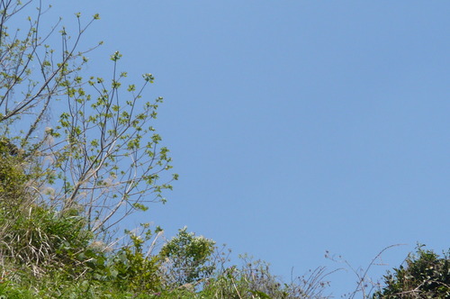 f0215179_15275164.jpg