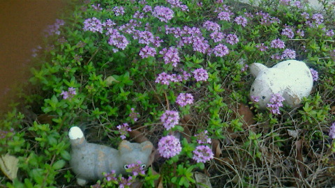 f0215179_9225282.jpg