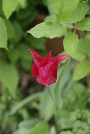 f0166982_21171576.jpg