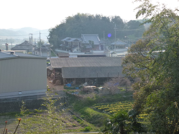 b0118987_10562640.jpg