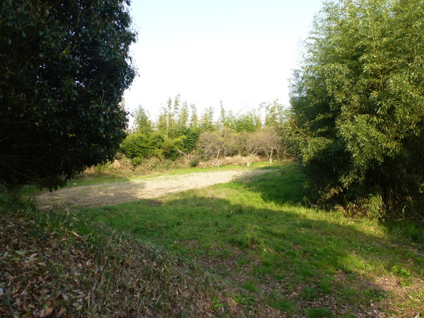 b0118987_1194445.jpg
