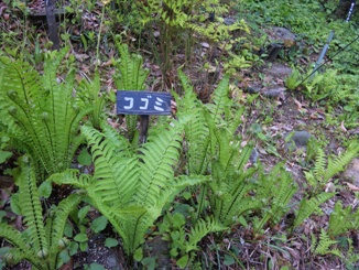 e0121192_163121.jpg