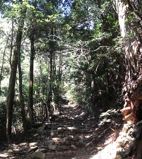 d0242696_2339435.jpg