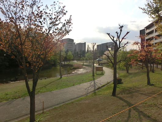 d0262797_215475.jpg