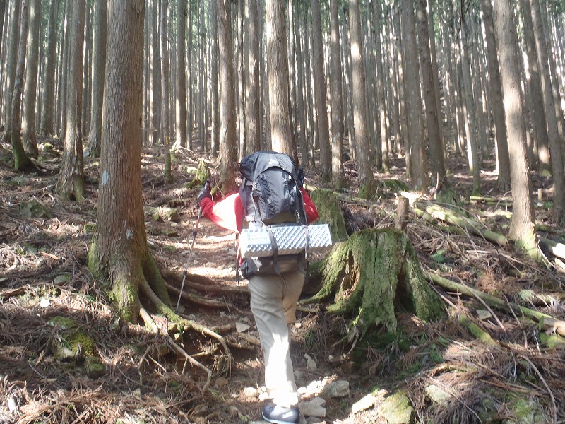 c0147398_252442.jpg