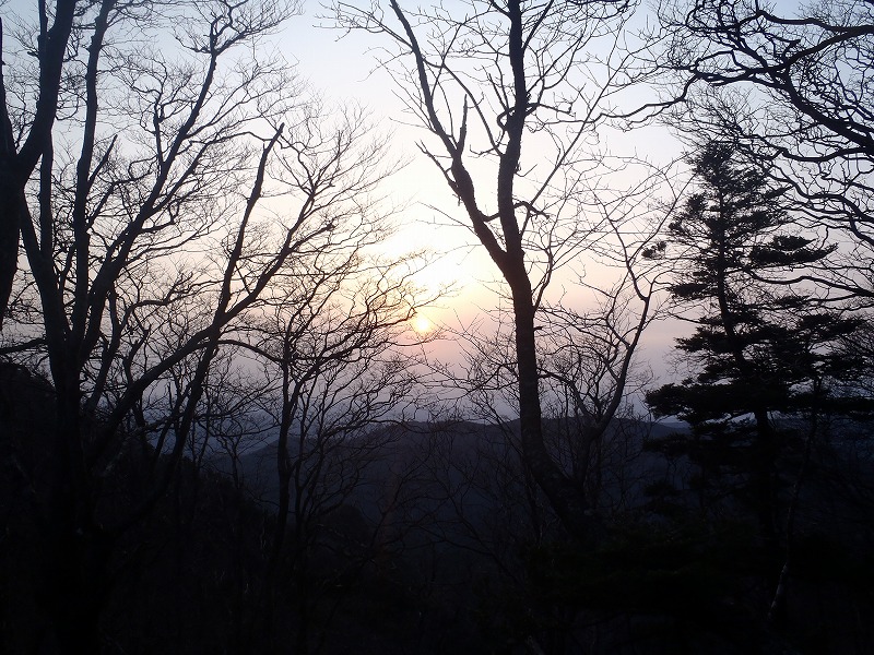 c0147398_255218.jpg