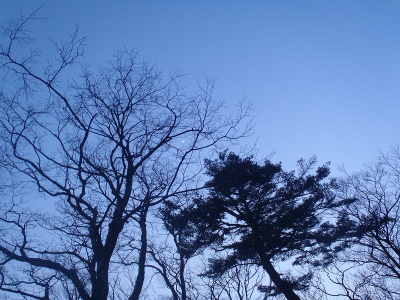 c0147398_352171.jpg