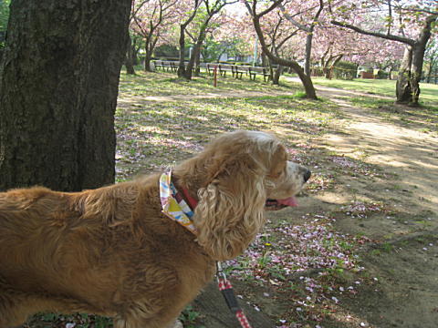 d0046702_113172.jpg