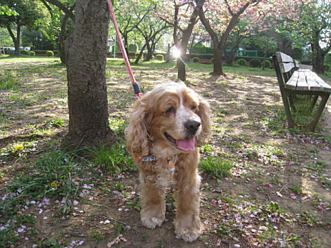 d0046702_11504357.jpg