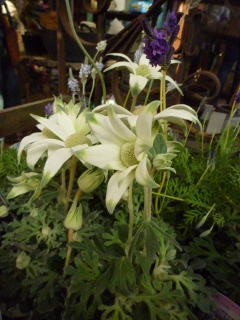 c0167112_203647100.jpg