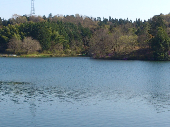 a0218118_1862942.jpg
