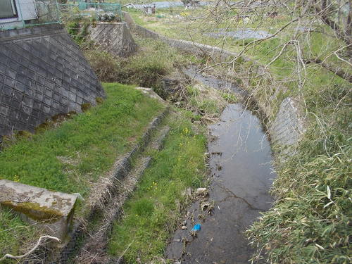f0111128_027133.jpg