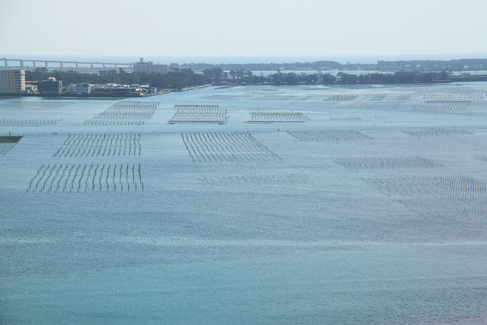e0025930_22544425.jpg