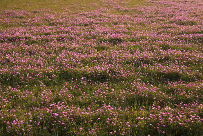 e0025930_2259125.jpg