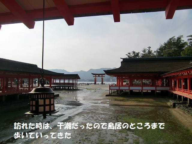 c0123031_21162388.jpg