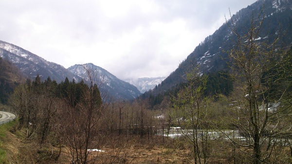 a0119132_17462274.jpg