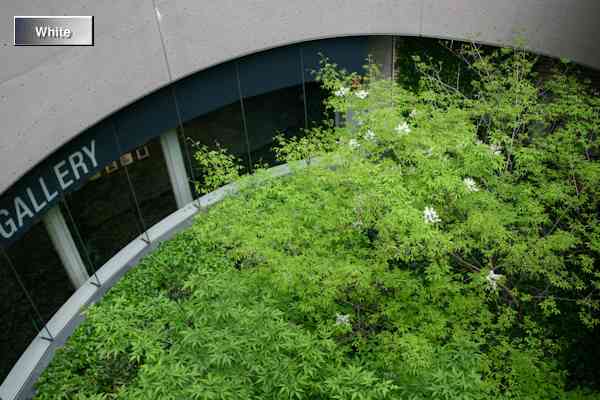c0227134_2362886.jpg