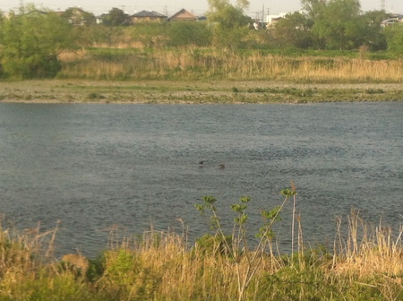 d0013834_0443211.jpg