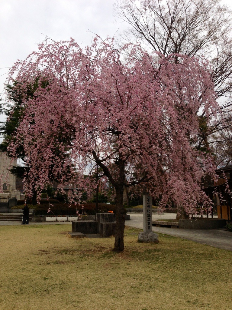 b0129041_2128220.jpg