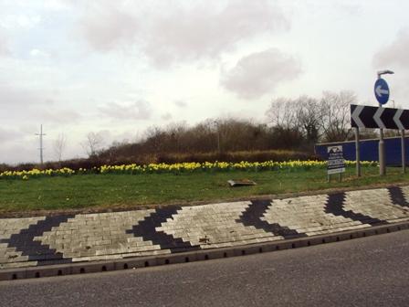 e0010856_910519.jpg