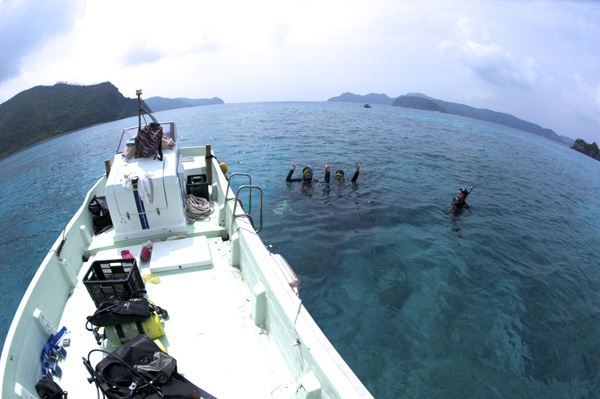 b0062363_15471119.jpg