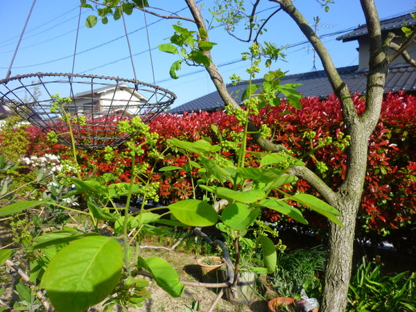 c0216472_1704080.jpg
