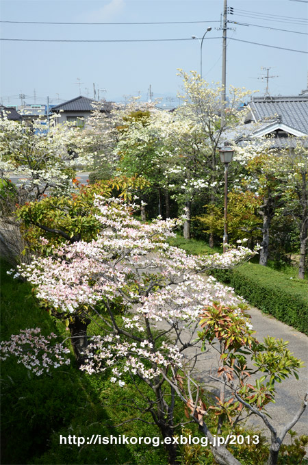 a0223379_053452.jpg