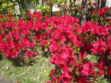 f0053885_20394770.jpg