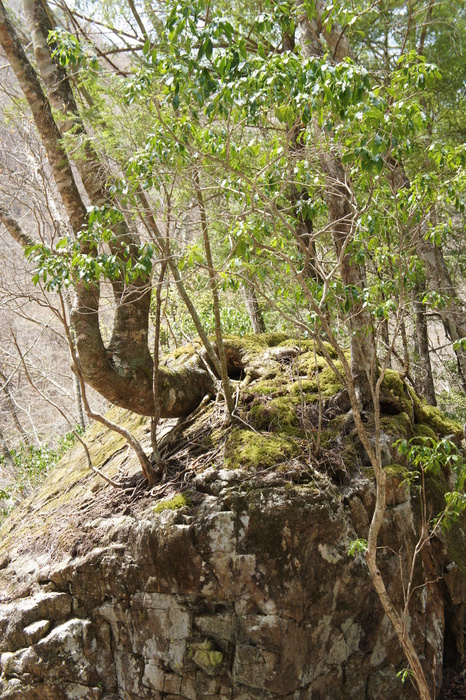 c0136486_1113491.jpg