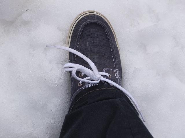 c0046587_21335260.jpg