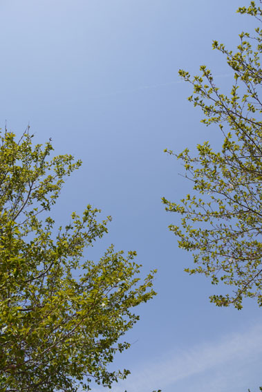 f0222692_1492448.jpg