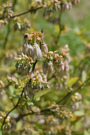 f0222692_1656323.jpg