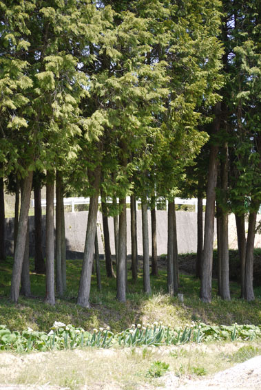 f0222692_1814183.jpg