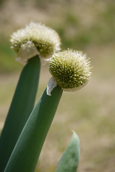 f0222692_1814472.jpg