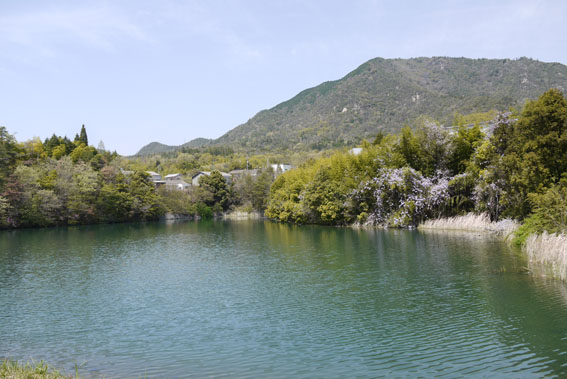f0222692_1815992.jpg