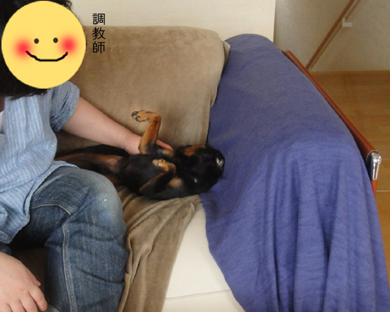 c0094999_0565614.jpg