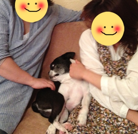 c0094999_0565640.jpg