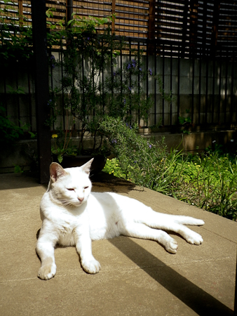 f0239100_16191556.jpg