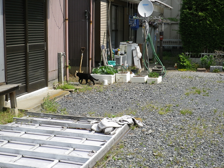 f0239100_16204694.jpg