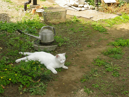f0239100_16222823.jpg