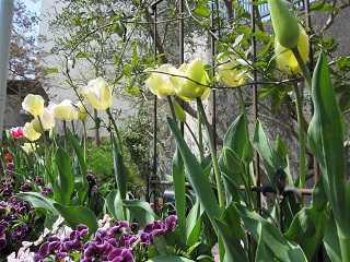 c0152002_18111419.jpg