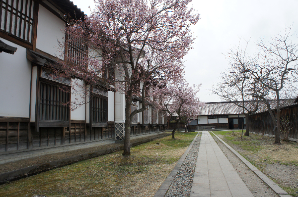 d0197602_86123.jpg