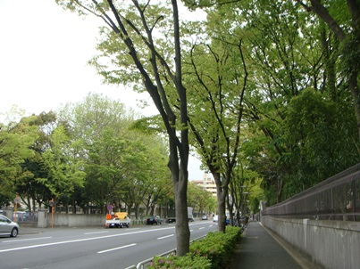 a0167803_1863345.jpg