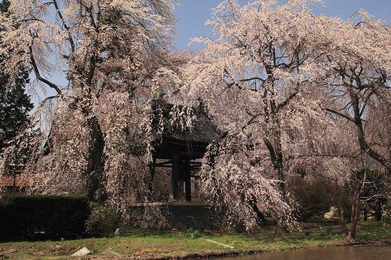 a0188405_10234140.jpg