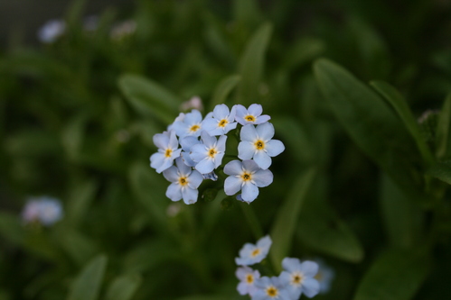 a0139007_13365949.jpg