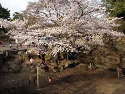 f0221708_21305584.jpg