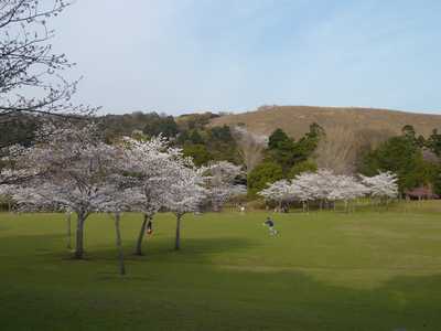 f0221708_21573100.jpg