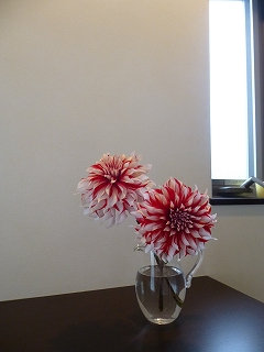 b0223711_9412181.jpg