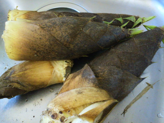 e0099212_22112360.jpg